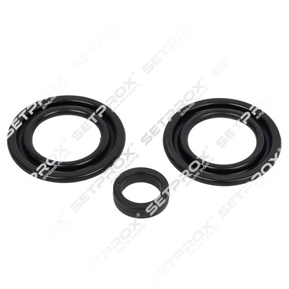 ST1011 – Seal Ring Set